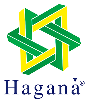 grupo hagana2